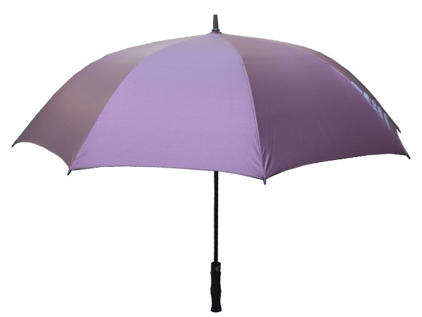 30寸嘿嘿连载在线下载傘