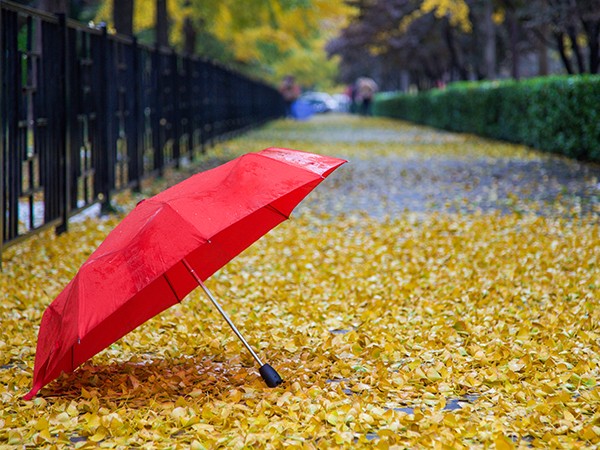 雨傘的保養知識